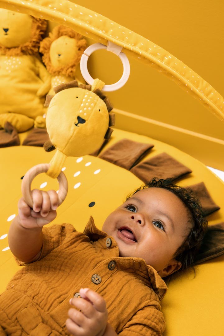 Baby-Spielmatte Mr. Lion mit Bögen – Aktivitäts-Spielbogen ab 3 Monaten