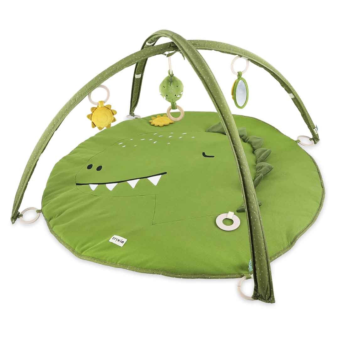 Baby-Spielmatte Mr. Dino mit Bögen – Aktivitäts-Spielbogen ab 3 Monaten