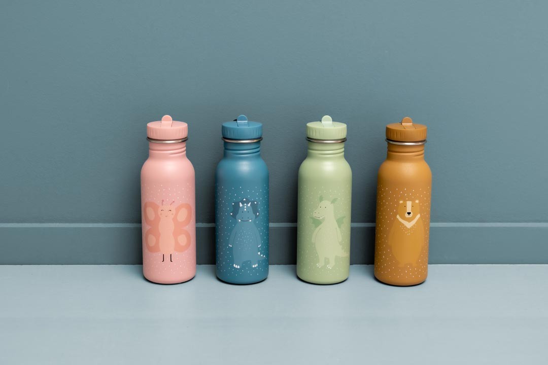 Stainless Steel Bottle 350 ml - Mr. Triceratops