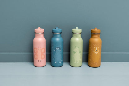 Stainless Steel Bottle 500 ml - Mr. Triceratops